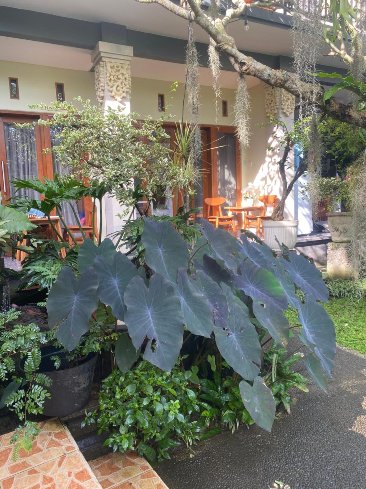 Suryadina Guest House Ubud  Exterior photo