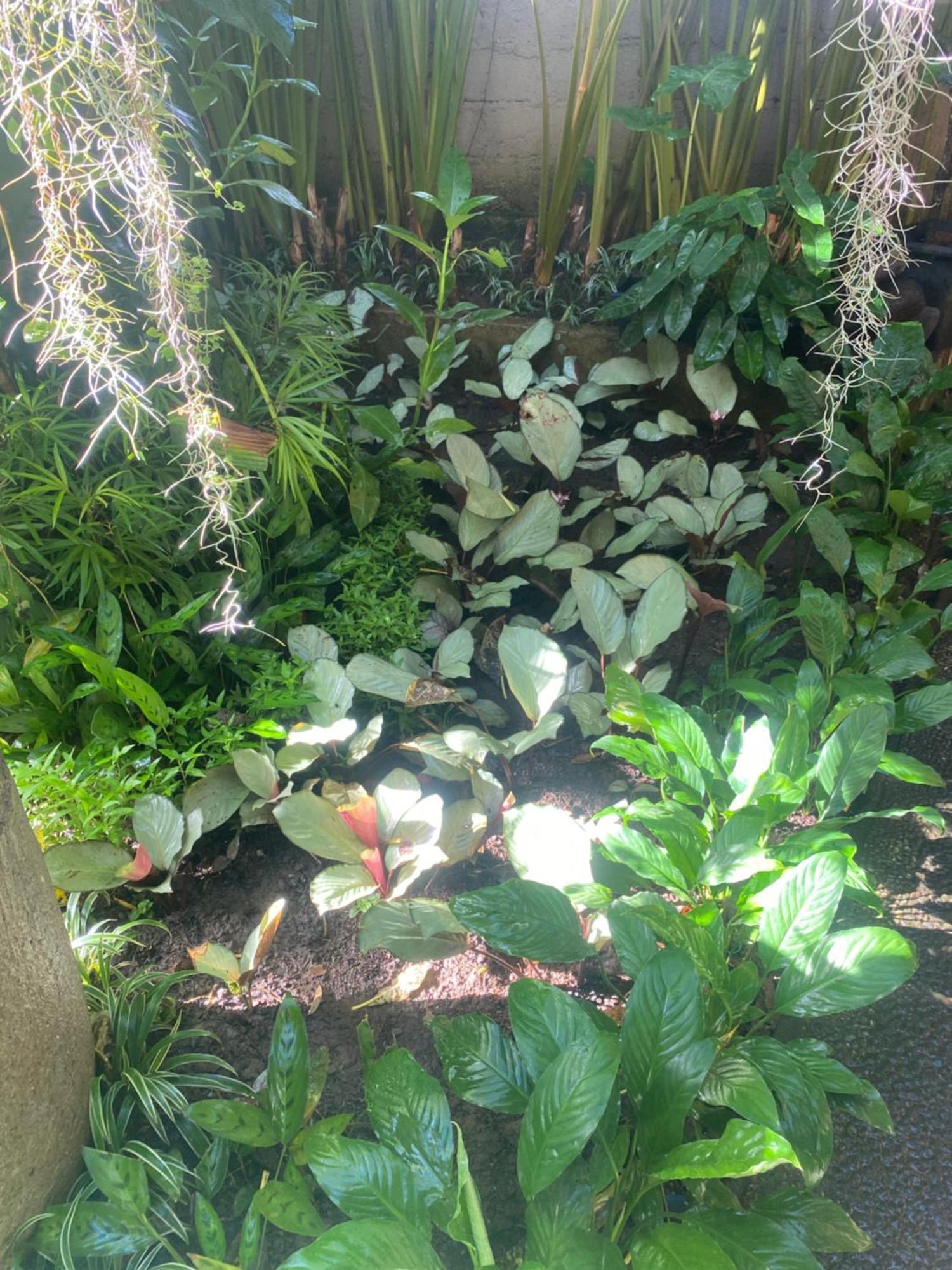 Suryadina Guest House Ubud  Exterior photo